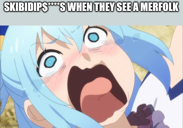 Aqua crying/screaming | SKIBIDIP$****S WHEN THEY SEE A MERFOLK | image tagged in aqua crying/screaming | made w/ Imgflip meme maker