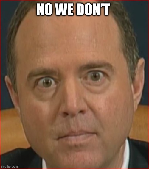 Adam Schiff | NO WE DON’T | image tagged in adam schiff | made w/ Imgflip meme maker