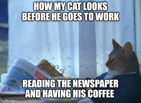 Morning cat | HOW MY CAT LOOKS BEFORE HE GOES TO WORK; READING THE NEWSPAPER AND HAVING HIS COFFEE | image tagged in memes,i should buy a boat cat,funny memes | made w/ Imgflip meme maker