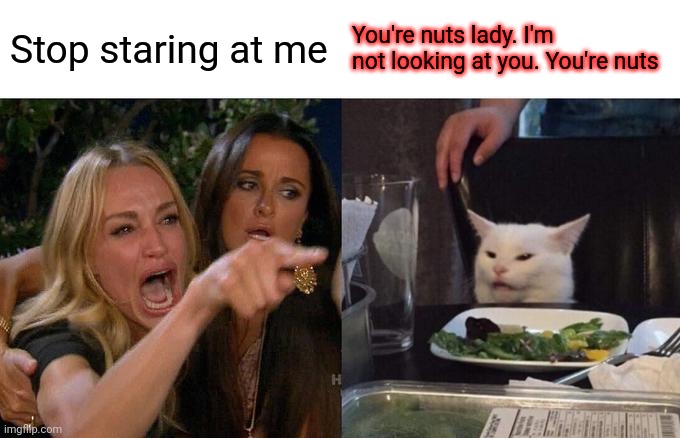Crazy lady | Stop staring at me; You're nuts lady. I'm not looking at you. You're nuts | image tagged in memes,woman yelling at cat,funny memes | made w/ Imgflip meme maker