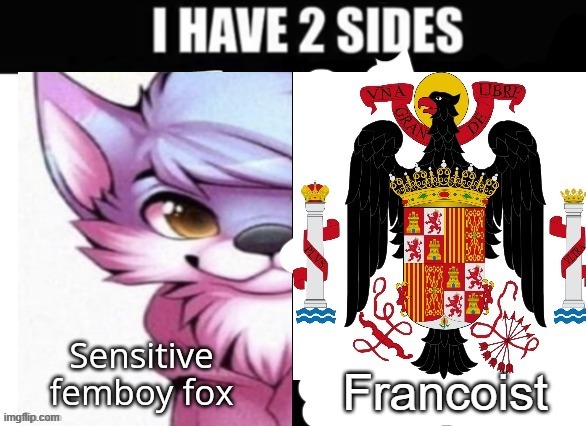 I have 2 sides | image tagged in i have 2 sides | made w/ Imgflip meme maker