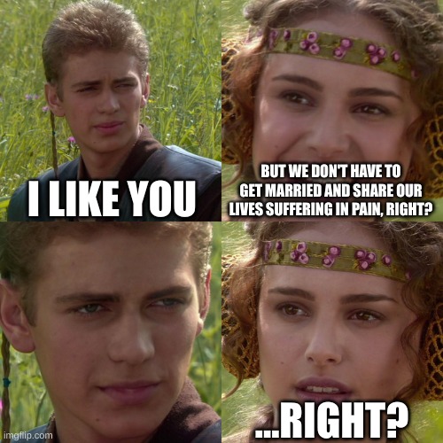 ...Right? | I LIKE YOU; BUT WE DON'T HAVE TO GET MARRIED AND SHARE OUR LIVES SUFFERING IN PAIN, RIGHT? ...RIGHT? | image tagged in anakin padme 4 panel | made w/ Imgflip meme maker