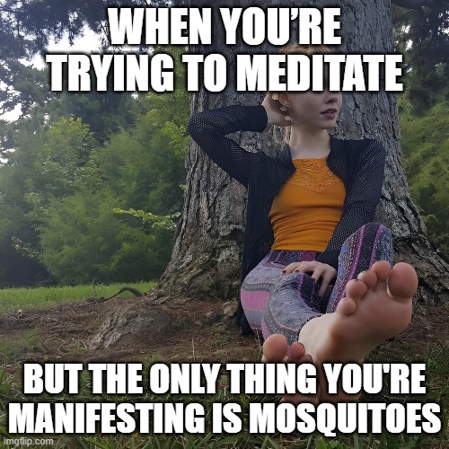 mosquitoes | WHEN YOU’RE TRYING TO MEDITATE; BUT THE ONLY THING YOU'RE MANIFESTING IS MOSQUITOES | image tagged in memes | made w/ Imgflip meme maker