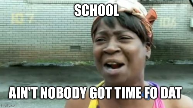 Ain't Nobody Got Time For That Meme | SCHOOL; AIN'T NOBODY GOT TIME FO DAT | image tagged in memes,ain't nobody got time for that | made w/ Imgflip meme maker