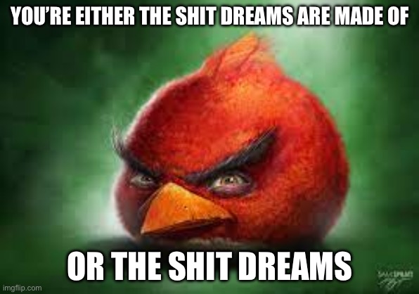 Image Title | YOU’RE EITHER THE SHIT DREAMS ARE MADE OF; OR THE SHIT DREAMS | image tagged in realistic red angry birds | made w/ Imgflip meme maker