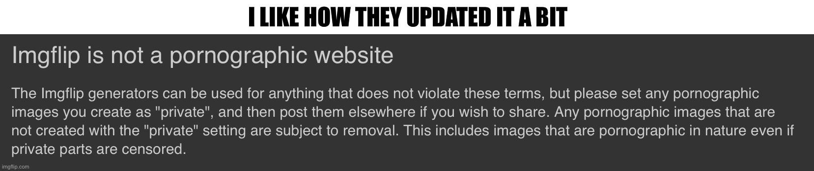 The rules still need work but at least mfs don’t have to see weird shit ;-; | I LIKE HOW THEY UPDATED IT A BIT | made w/ Imgflip meme maker