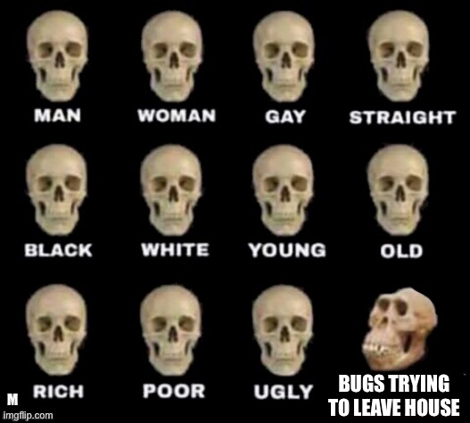 idiot skull | BUGS TRYING TO LEAVE HOUSE M | image tagged in idiot skull | made w/ Imgflip meme maker