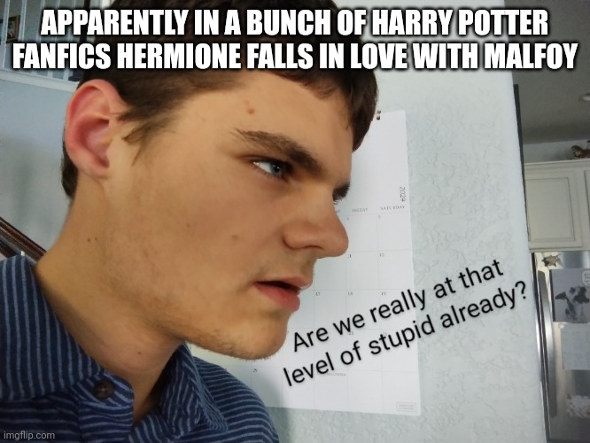 Fanfics are weird... | APPARENTLY IN A BUNCH OF HARRY POTTER FANFICS HERMIONE FALLS IN LOVE WITH MALFOY | image tagged in logray stupid,harry potter,weird | made w/ Imgflip meme maker