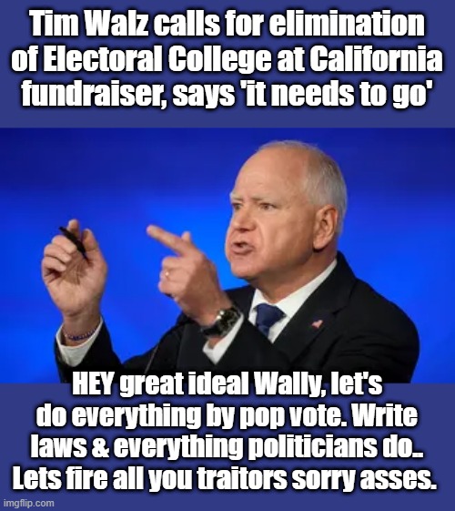 DEMS are the party THAT HAVE SUPER DELEGATS so the party heads can install PRES now, Don't let them fool you KAMMIE GOT 0 votes | Tim Walz calls for elimination of Electoral College at California fundraiser, says 'it needs to go'; HEY great ideal Wally, let's do everything by pop vote. Write laws & everything politicians do.. Lets fire all you traitors sorry asses. | made w/ Imgflip meme maker