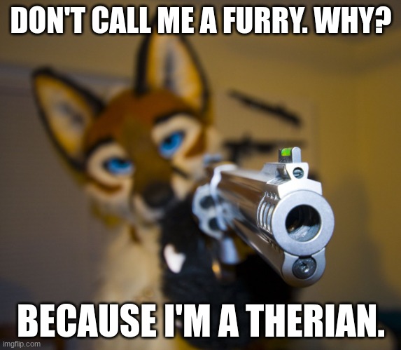 Furry with gun | DON'T CALL ME A FURRY. WHY? BECAUSE I'M A THERIAN. | image tagged in furry with gun | made w/ Imgflip meme maker