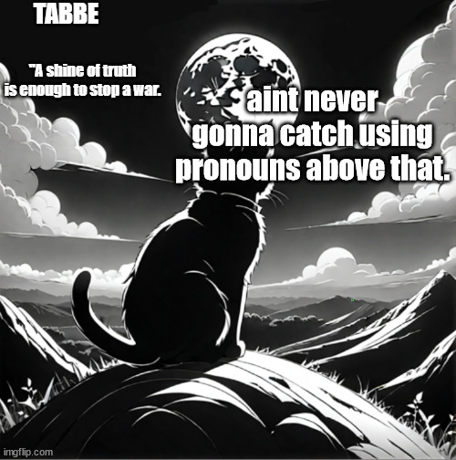 stop using pronouns become above | aint never gonna catch using pronouns above that. | image tagged in tabbe moon cat temp thing | made w/ Imgflip meme maker