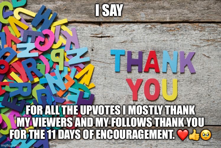 Tysm guys ? | I SAY; FOR ALL THE UPVOTES I MOSTLY THANK MY VIEWERS AND MY FOLLOWS THANK YOU FOR THE 11 DAYS OF ENCOURAGEMENT. ❤️👍🥹 | image tagged in thank you,thank you everyone,you are a good man thank you | made w/ Imgflip meme maker