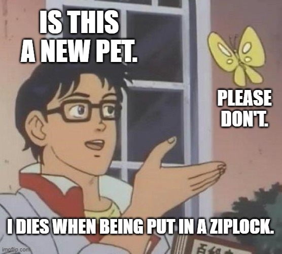 New Pet? | IS THIS A NEW PET. PLEASE DON'T. I DIES WHEN BEING PUT IN A ZIPLOCK. | image tagged in memes,is this a pigeon,pet,zipplock,die | made w/ Imgflip meme maker