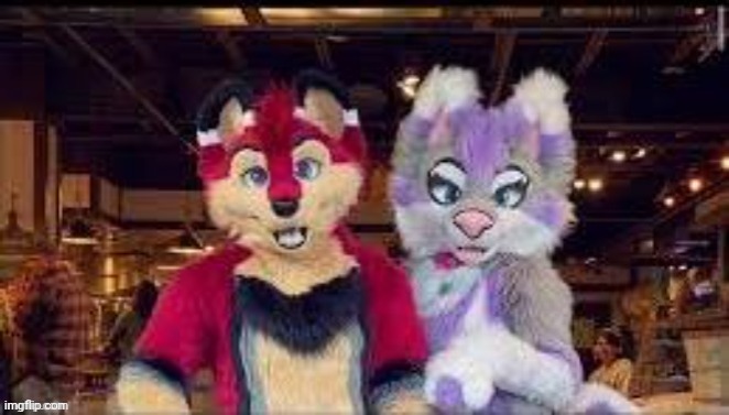 Do not read the image-description | THE WEATHER OUTSIDE IS RIZZY,
BUT THE FIRE IS SO SKIBIDI. SINCE I'VE GYATT TO GO,
OHIO, OHIO, OHIO. | image tagged in furry,memes,funny,furry and normie memes,why are you reading the tags | made w/ Imgflip meme maker