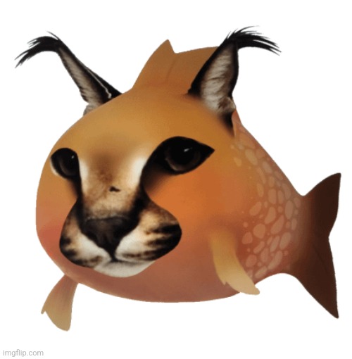 Floppa fish | image tagged in floppa fish | made w/ Imgflip meme maker