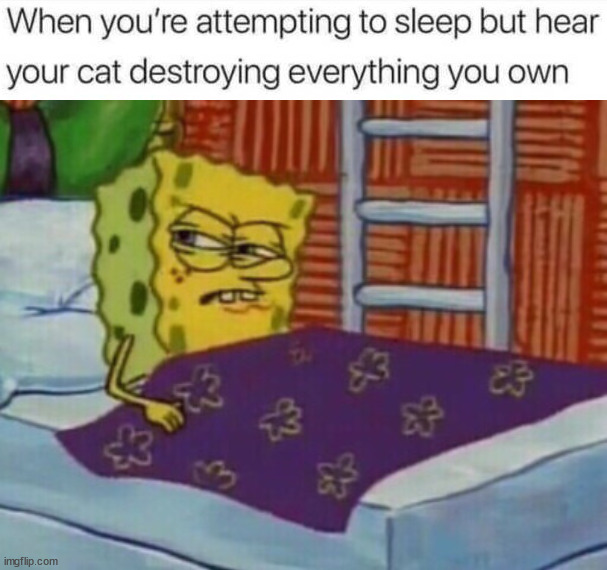 Destroying the room | image tagged in spongebob in bed | made w/ Imgflip meme maker