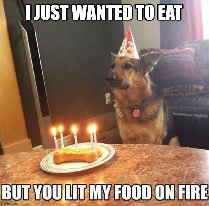 Why did you do that? | I JUST WANTED TO EAT | image tagged in dogs | made w/ Imgflip meme maker