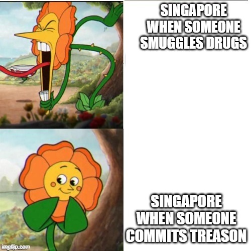 yelling flower | SINGAPORE WHEN SOMEONE SMUGGLES DRUGS; SINGAPORE WHEN SOMEONE COMMITS TREASON | image tagged in yelling flower | made w/ Imgflip meme maker