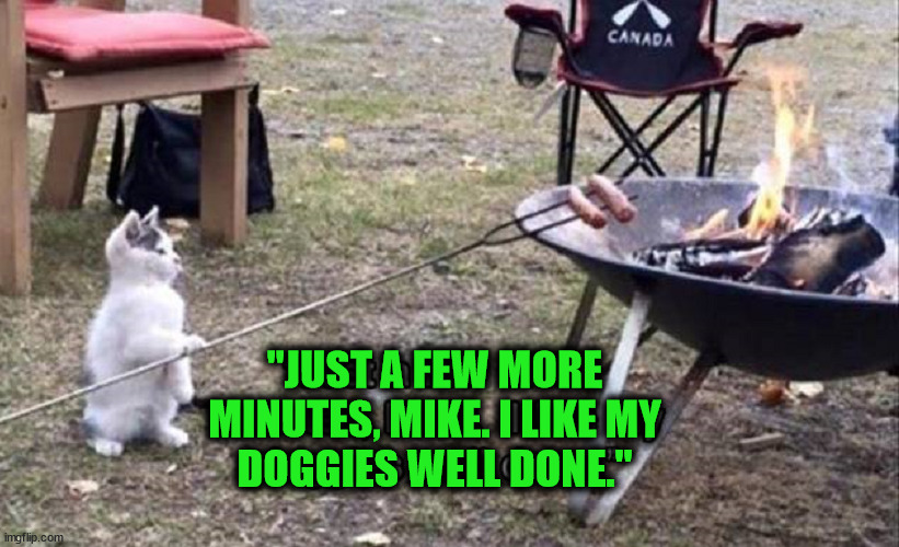 Cooking | "JUST A FEW MORE
MINUTES, MIKE. I LIKE MY
DOGGIES WELL DONE." | image tagged in cats | made w/ Imgflip meme maker