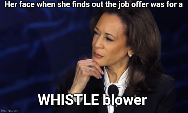 Kamala Harris chin pose | Her face when she finds out the job offer was for a WHISTLE blower | image tagged in kamala harris chin pose | made w/ Imgflip meme maker