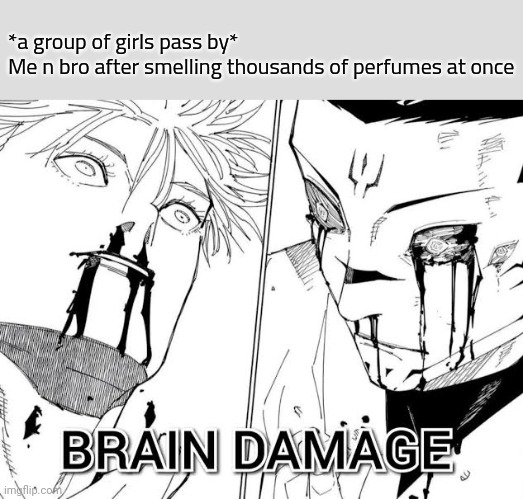 Brain Damage | *a group of girls pass by*
Me n bro after smelling thousands of perfumes at once | image tagged in brain damage | made w/ Imgflip meme maker