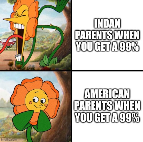 angry flower | INDAN PARENTS WHEN YOU GET A 99%; AMERICAN PARENTS WHEN YOU GET A 99% | image tagged in angry flower | made w/ Imgflip meme maker