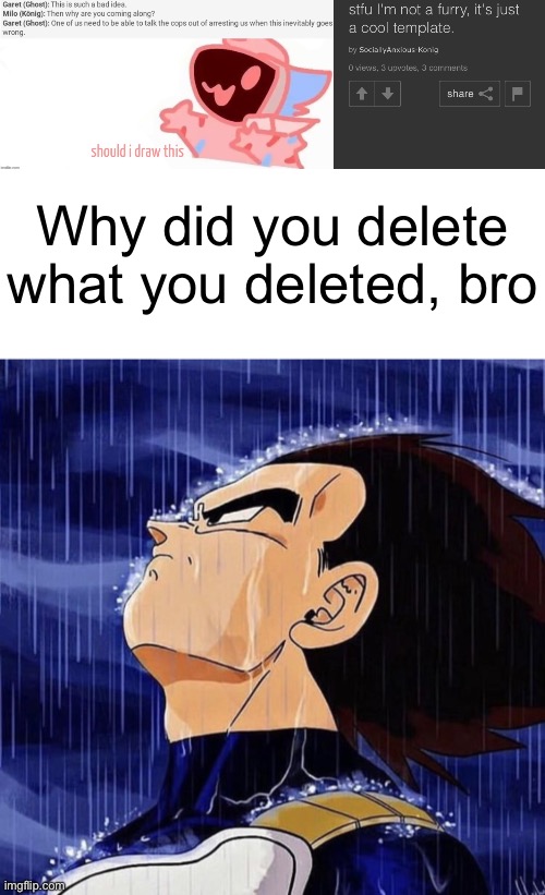 Idfk | Why did you delete what you deleted, bro | image tagged in i didn't see what you deleted | made w/ Imgflip meme maker