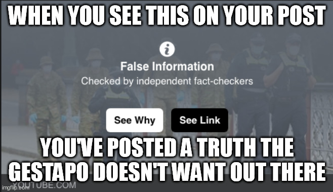 fact checker | WHEN YOU SEE THIS ON YOUR POST; YOU'VE POSTED A TRUTH THE GESTAPO DOESN'T WANT OUT THERE | image tagged in fact checker | made w/ Imgflip meme maker