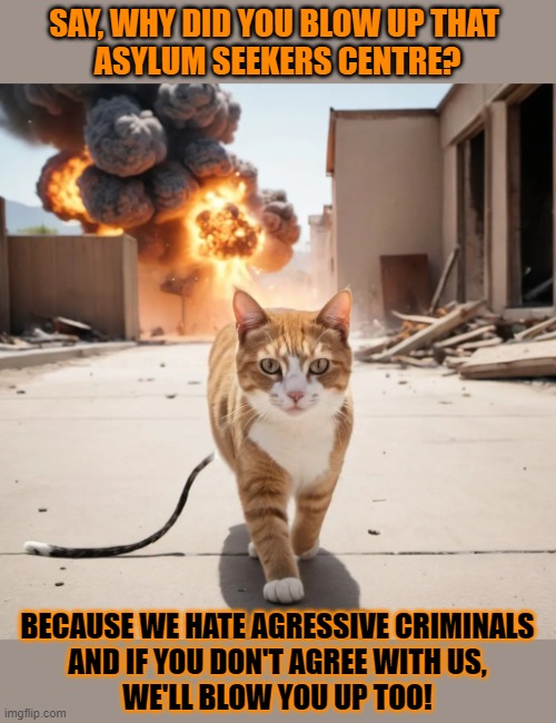 This #lolcat wonders why hoo-mens do things to show others doing those things is wrong? | SAY, WHY DID YOU BLOW UP THAT 
ASYLUM SEEKERS CENTRE? BECAUSE WE HATE AGRESSIVE CRIMINALS
AND IF YOU DON'T AGREE WITH US,
WE'LL BLOW YOU UP TOO! | image tagged in hypocrisy,stupid people,lolcat,asylum,refugees | made w/ Imgflip meme maker