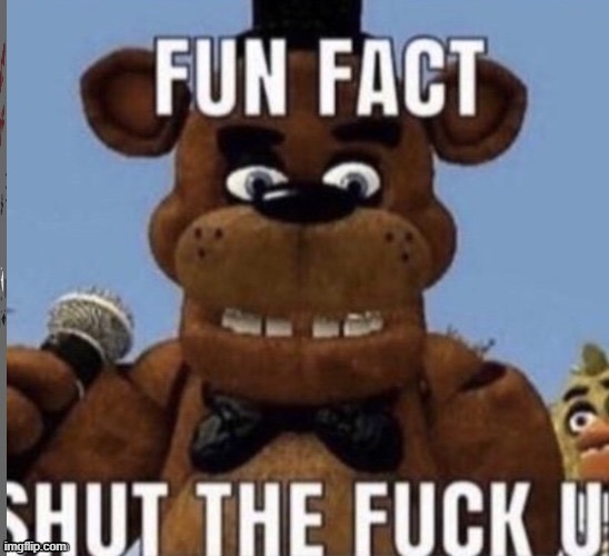 @ItzHRDash | image tagged in fun fact stfu | made w/ Imgflip meme maker