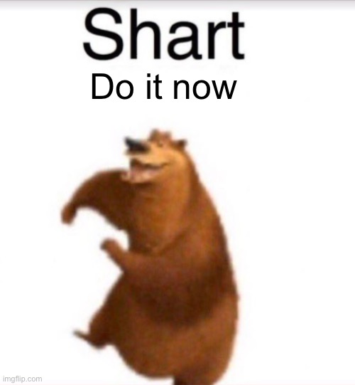 Shart bear | Do it now | image tagged in shart bear | made w/ Imgflip meme maker