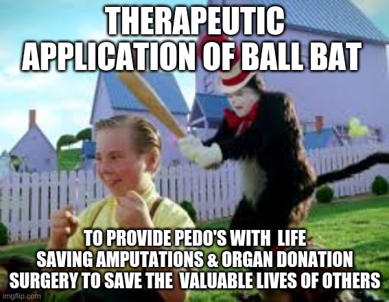 A better life for kids | THERAPEUTIC APPLICATION OF BALL BAT; TO PROVIDE PEDO'S WITH  LIFE SAVING AMPUTATIONS & ORGAN DONATION SURGERY TO SAVE THE  VALUABLE LIVES OF OTHERS | image tagged in cat in the hat,get er done | made w/ Imgflip meme maker