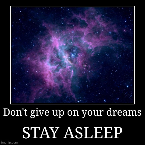 SKWONK-shooo | Don't give up on your dreams | STAY ASLEEP | image tagged in funny,demotivationals,dreams,sleep | made w/ Imgflip demotivational maker