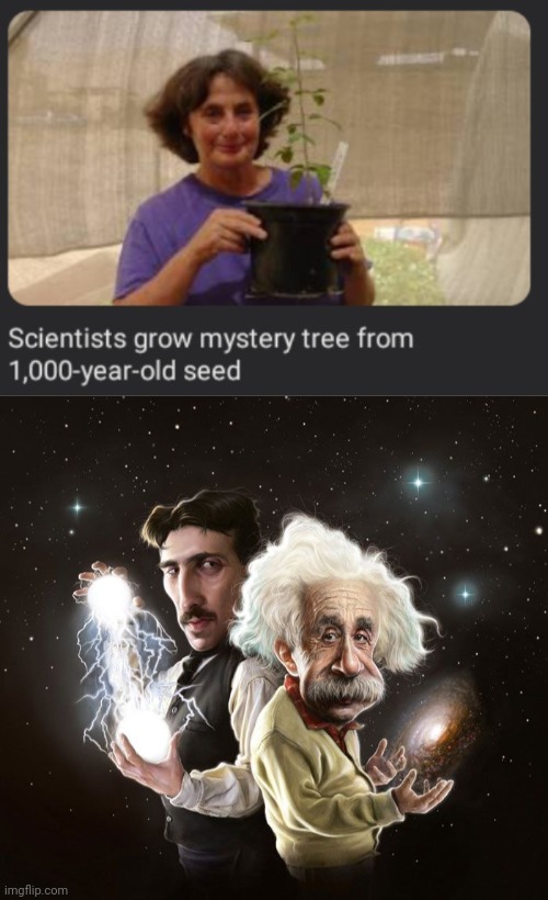 Mystery tree | image tagged in nikola tesla albert einstein,mystery tree,tree,trees,science,memes | made w/ Imgflip meme maker