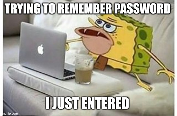 Trying to remember password | TRYING TO REMEMBER PASSWORD; I JUST ENTERED | image tagged in spongegar computer | made w/ Imgflip meme maker