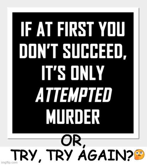 Just sayin' | OR, 🤔; TRY, TRY AGAIN? | image tagged in dark humor,murder,you're doing it wrong,well yes but actually no,well that escalated quickly,trying to explain | made w/ Imgflip meme maker