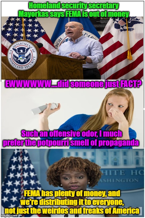 I hate it when someone facts in a crowded elevator | Homeland security secretary Mayorkas says FEMA is out of money; EWWWWWW....did someone just FACT? Such an offensive odor, I much prefer the potpourri smell of propaganda; FEMA has plenty of money, and we're distributing it to everyone, not just the weirdos and freaks of America | image tagged in fake news,propaganda,trump,maga,election 2024,kamala harris | made w/ Imgflip meme maker