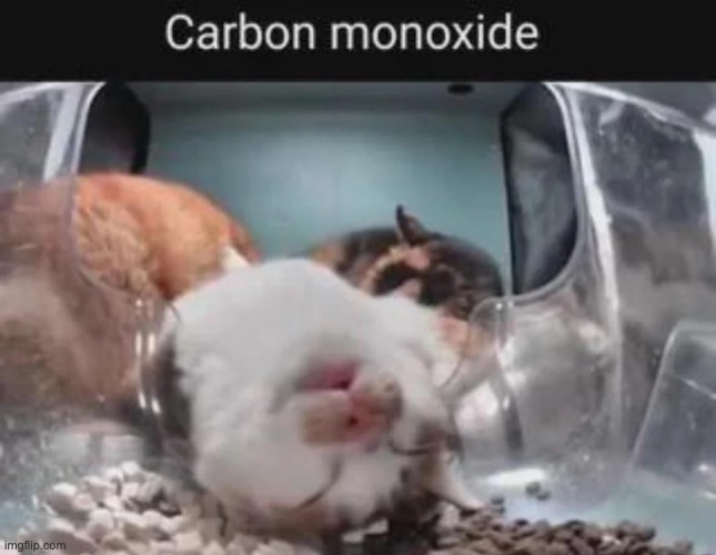 Carbon monoxide claimed him. | made w/ Imgflip meme maker