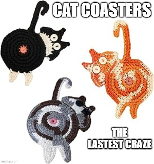 memes by Brad - Cat coasters are the latest craze | CAT COASTERS; THE LASTEST CRAZE | image tagged in funny,cats,kittens,funny cat memes,humor | made w/ Imgflip meme maker