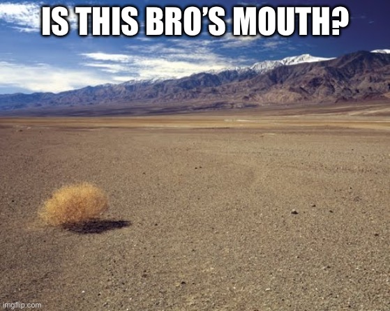 desert tumbleweed | IS THIS BRO’S MOUTH? | image tagged in desert tumbleweed | made w/ Imgflip meme maker