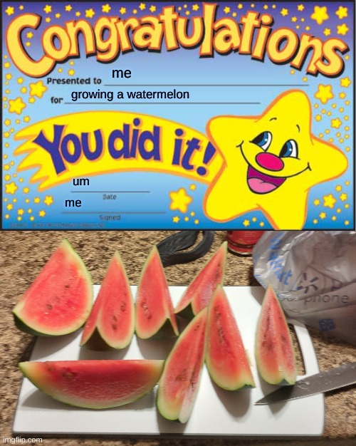 I made a thing | me; growing a watermelon; um; me | image tagged in memes,happy star congratulations | made w/ Imgflip meme maker