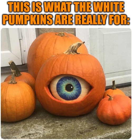 NOW IF YOU COULD MAKE IT MOVE... | THIS IS WHAT THE WHITE PUMPKINS ARE REALLY FOR: | image tagged in pumpkins,pumpkin,halloween,spooktober | made w/ Imgflip meme maker