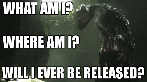 WHAT AM I? WILL I EVER BE RELEASED? WHERE AM I? | made w/ Imgflip meme maker