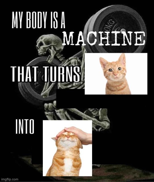 CatPosting™ | made w/ Imgflip meme maker