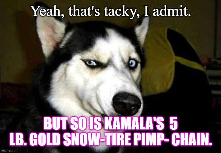 suspicious husky dog | Yeah, that's tacky, I admit. BUT SO IS KAMALA'S  5 LB. GOLD SNOW-TIRE PIMP- CHAIN. | image tagged in suspicious husky dog | made w/ Imgflip meme maker