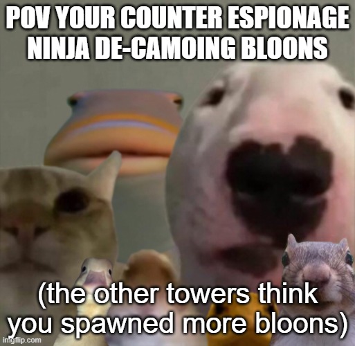 The council remastered | POV YOUR COUNTER ESPIONAGE NINJA DE-CAMOING BLOONS; (the other towers think you spawned more bloons) | image tagged in the council remastered | made w/ Imgflip meme maker