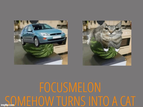 FOCUSMELON SOMEHOW TURNS INTO A CAT | made w/ Imgflip meme maker