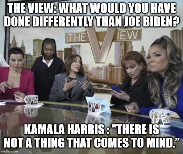 Same as the old boss | THE VIEW: WHAT WOULD YOU HAVE DONE DIFFERENTLY THAN JOE BIDEN? KAMALA HARRIS : "THERE IS NOT A THING THAT COMES TO MIND.” | image tagged in kamala harris,joe biden,same | made w/ Imgflip meme maker