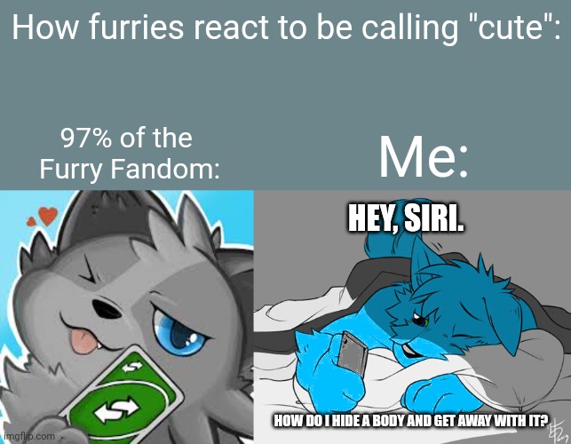 Real | How furries react to be calling "cute":; Me:; 97% of the 
Furry Fandom:; HEY, SIRI. HOW DO I HIDE A BODY AND GET AWAY WITH IT? | image tagged in furry uno reverse card,retro in bed,furry,funny,memes | made w/ Imgflip meme maker