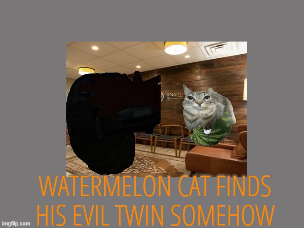 WATERMELON CAT FINDS HIS EVIL TWIN SOMEHOW | made w/ Imgflip meme maker